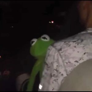 Meet your Posher, Asheley